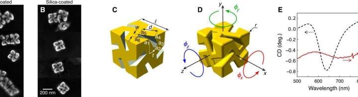 Light near surface of ultra-thin optical fibers can sort twisted nanoparticles