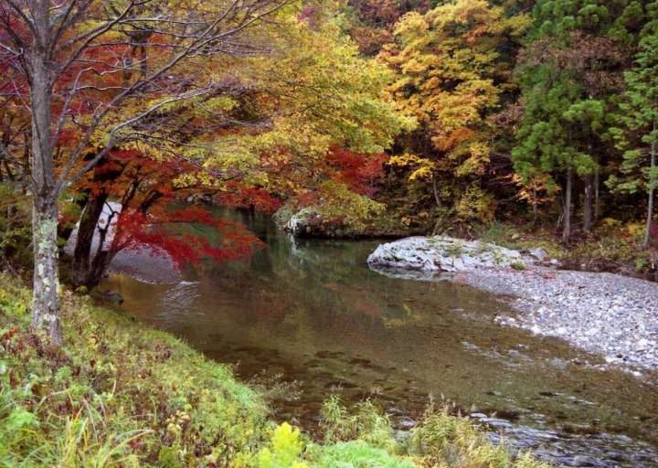 HydroGraphNet boosts watershed predictions of daily flow and nitrogen in sparse data regions