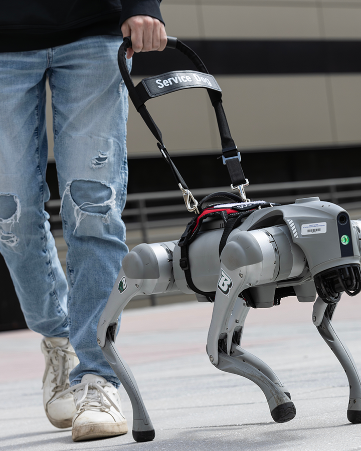 Talking robot dog could help to ease shortage of guide dogs for the blind